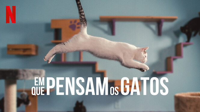 Em Que Pensam os Gatos